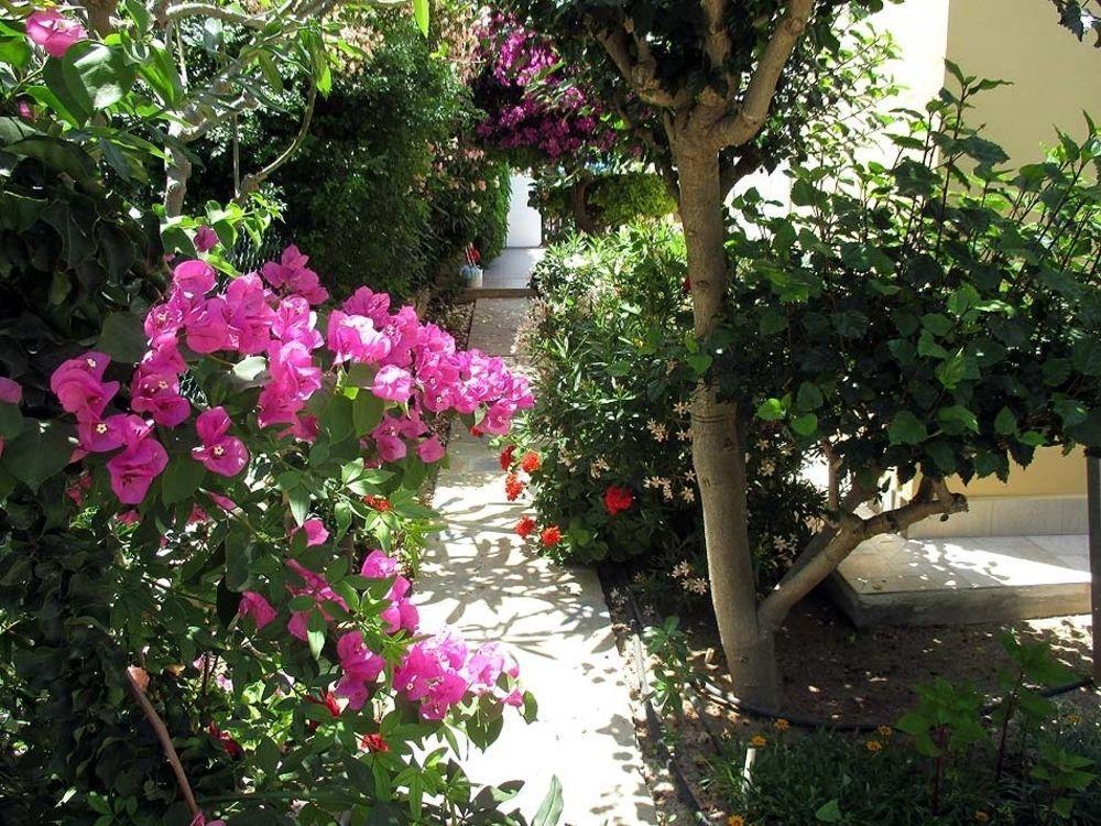 Rododafni Villas Klorakas Extérieur photo