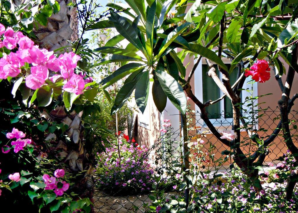 Rododafni Villas Klorakas Extérieur photo