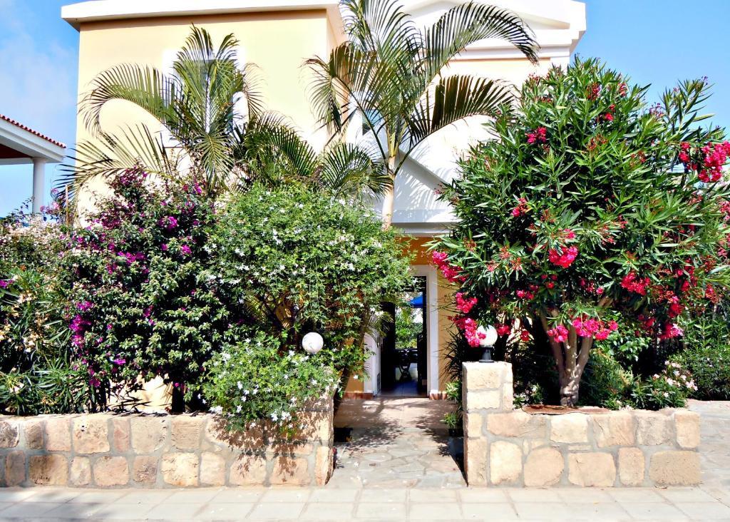 Rododafni Villas Klorakas Chambre photo
