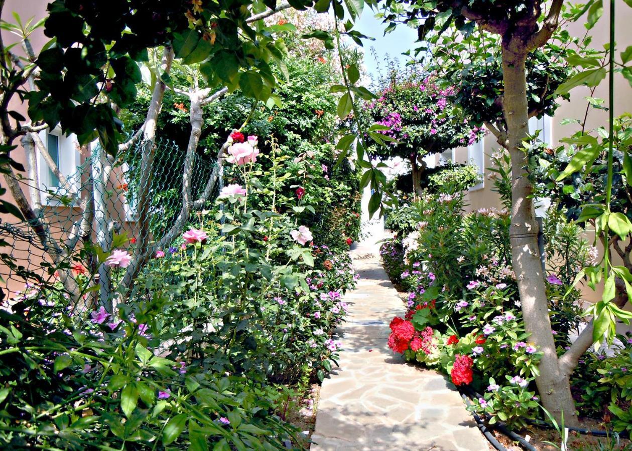Rododafni Villas Klorakas Extérieur photo